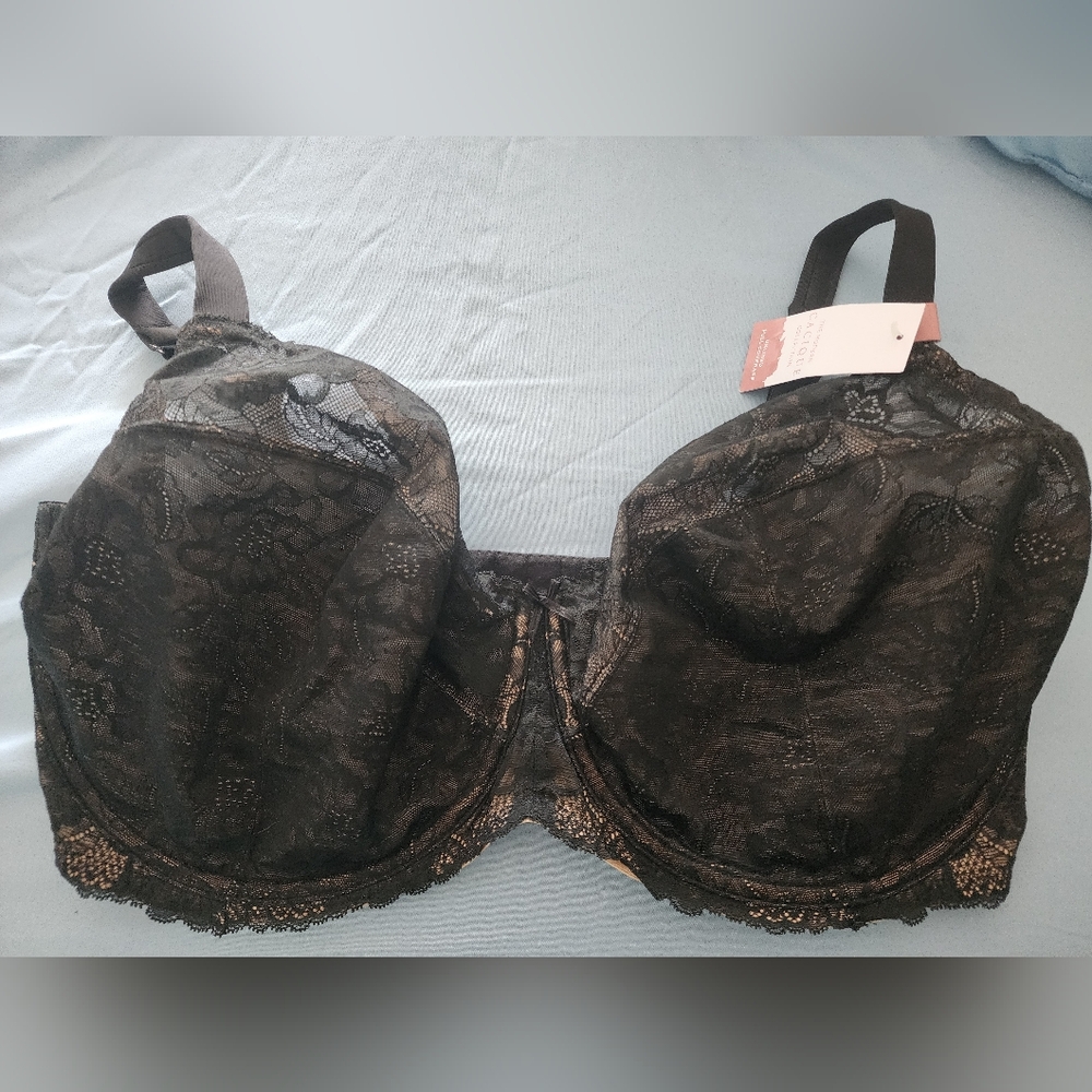 42I Cacique bra